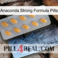 Anaconda Strong Formula Pills 44